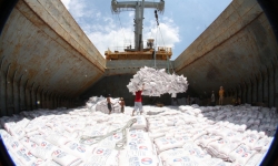 Rice exports drop to record low